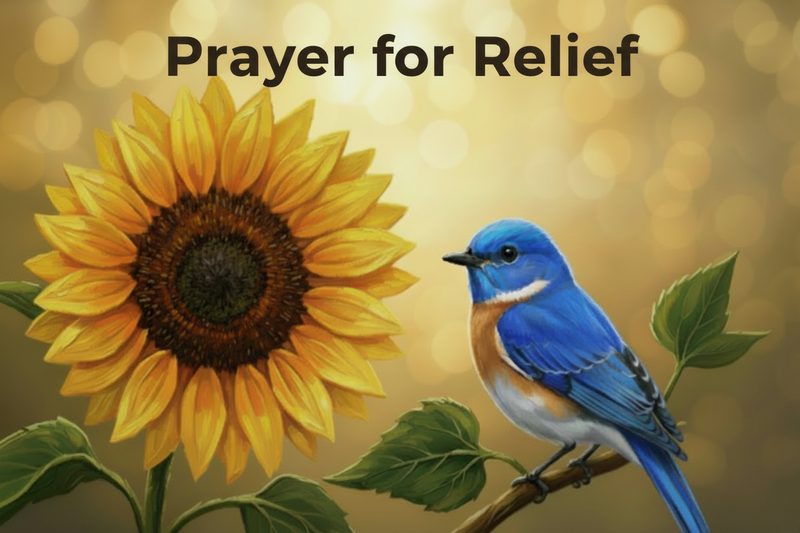 Sunflower & Bluebird Prayer for Relief Fundraiser